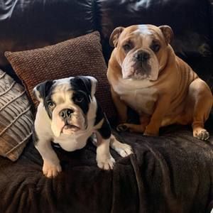 Meet your Posher, Tommy n